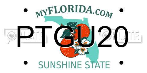 PTGU20 Florida License Plate