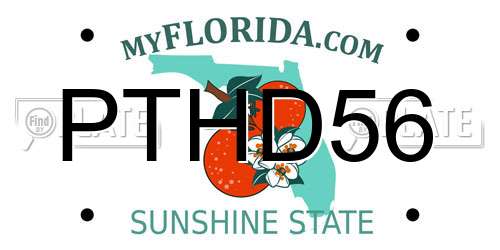 PTHD56 Florida License Plate