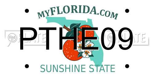 PTHE09 Florida License Plate