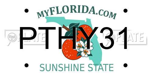 PTHY31 Florida License Plate