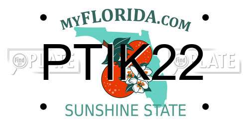 PTIK22 Florida License Plate