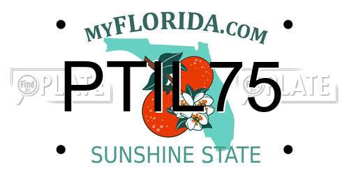 PTIL75 Florida License Plate