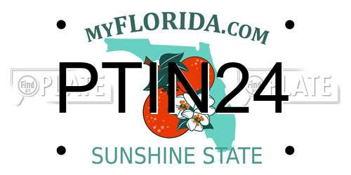 PTIN24 Florida License Plate