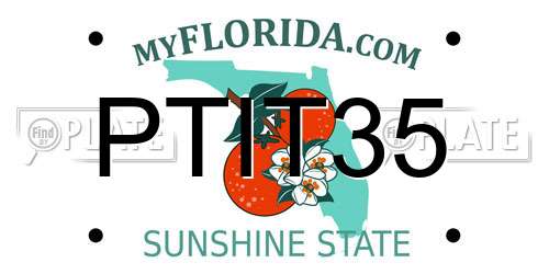 PTIT35 Florida License Plate