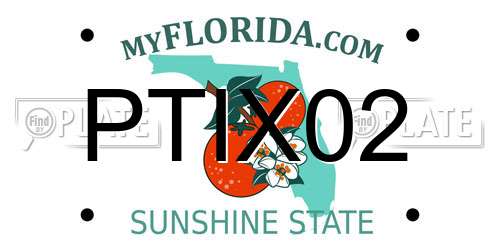 PTIX02 Florida License Plate
