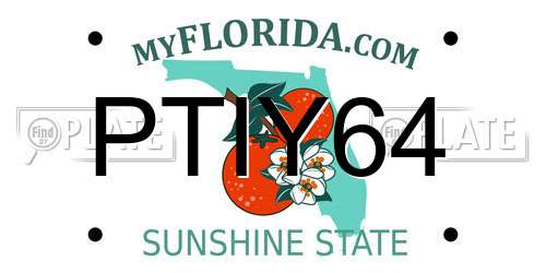 PTIY64 Florida License Plate