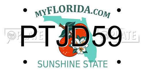 PTJD59 Florida License Plate