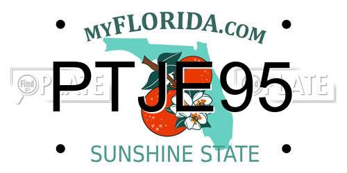 PTJE95 Florida License Plate