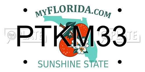 PTKM33 Florida License Plate