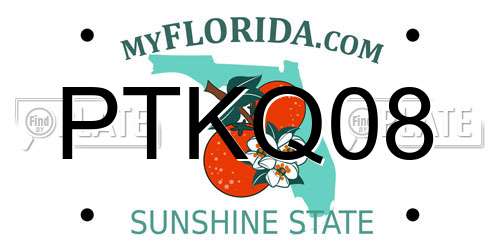 PTKQ08 Florida License Plate