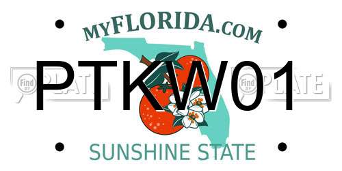 PTKW01 Florida License Plate