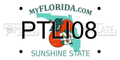 PTLI08 Florida License Plate