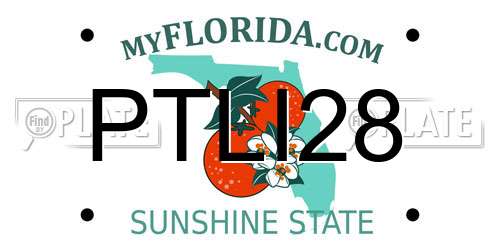 PTLI28 Florida License Plate