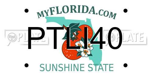 PTLI40 Florida License Plate