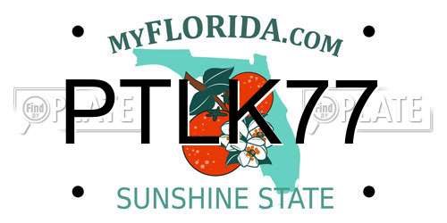 PTLK77 Florida License Plate