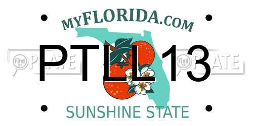 PTLL13 Florida License Plate