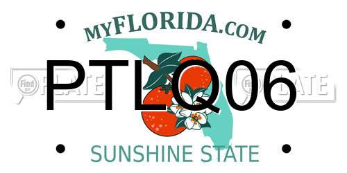 PTLQ06 Florida License Plate