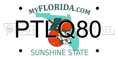 PTLQ80 Florida License Plate