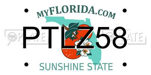 PTLZ58 Florida License Plate