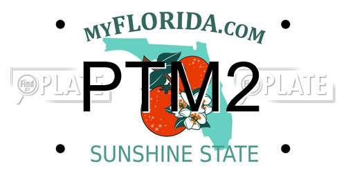 PTM2 Florida License Plate