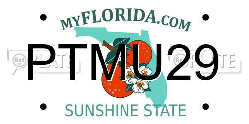 PTMU29 Florida License Plate