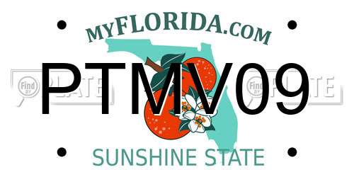 PTMV09 Florida License Plate