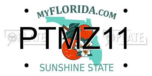 PTMZ11 Florida License Plate