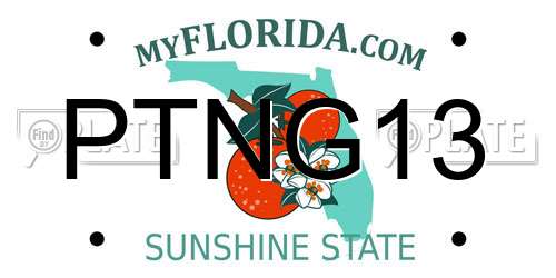 PTNG13 Florida License Plate