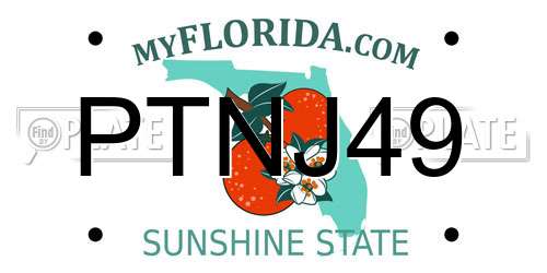 PTNJ49 Florida License Plate