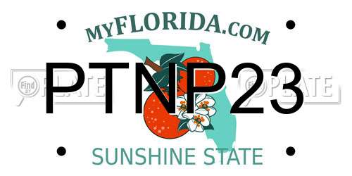 PTNP23 Florida License Plate