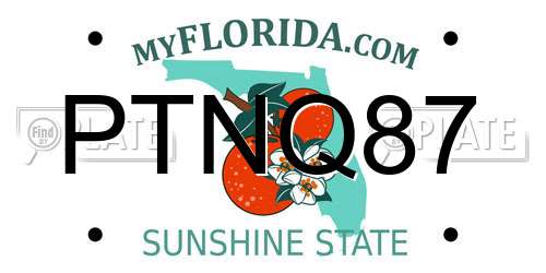 PTNQ87 Florida License Plate