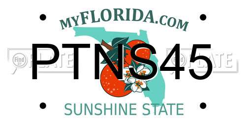 PTNS45 Florida License Plate