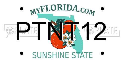 PTNT12 Florida License Plate