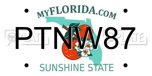 PTNW87 Florida License Plate