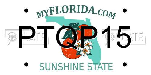 PTQP15 Florida License Plate