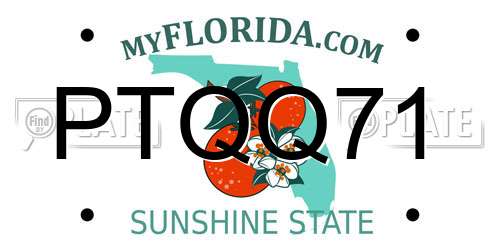 PTQQ71 Florida License Plate