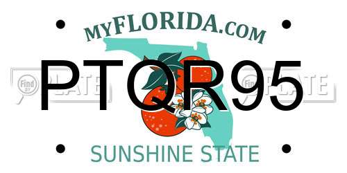 PTQR95 Florida License Plate