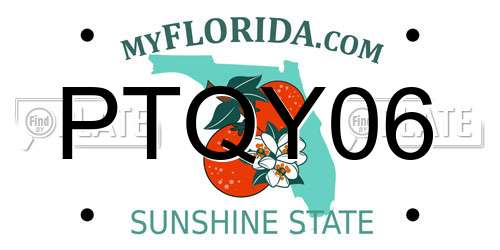 PTQY06 Florida License Plate