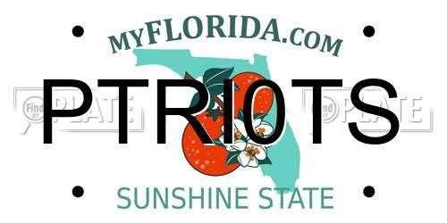 PTRI0TS Florida License Plate