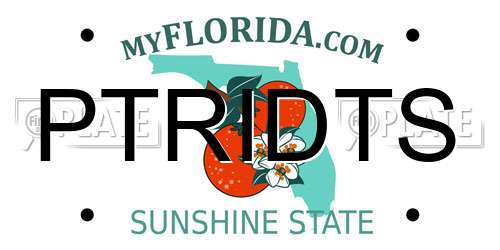 PTRIDTS Florida License Plate