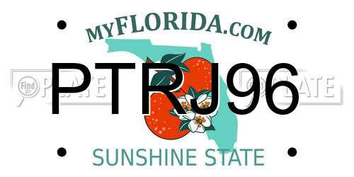 PTRJ96 Florida License Plate