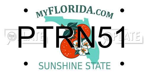 PTRN51 Florida License Plate