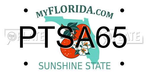 PTSA65 Florida License Plate