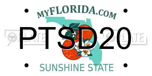 PTSD20 Florida License Plate
