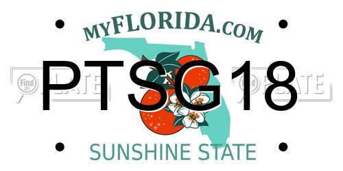 PTSG18 Florida License Plate
