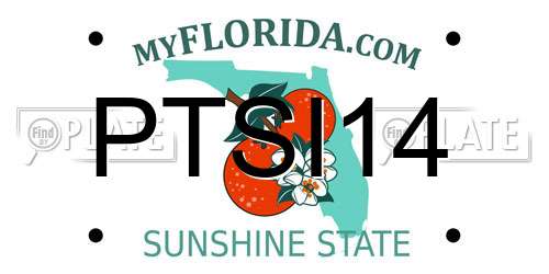 PTSI14 Florida License Plate