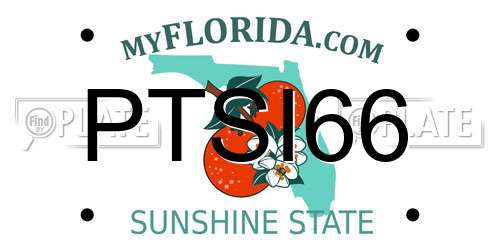 PTSI66 Florida License Plate