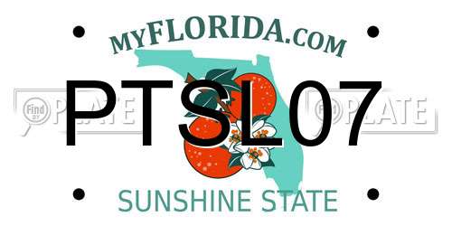 PTSL07 Florida License Plate