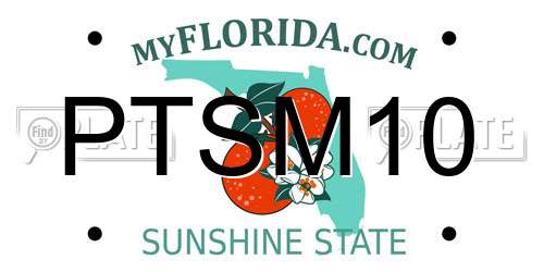 PTSM10 Florida License Plate