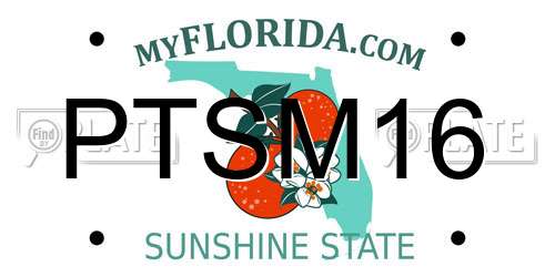 PTSM16 Florida License Plate